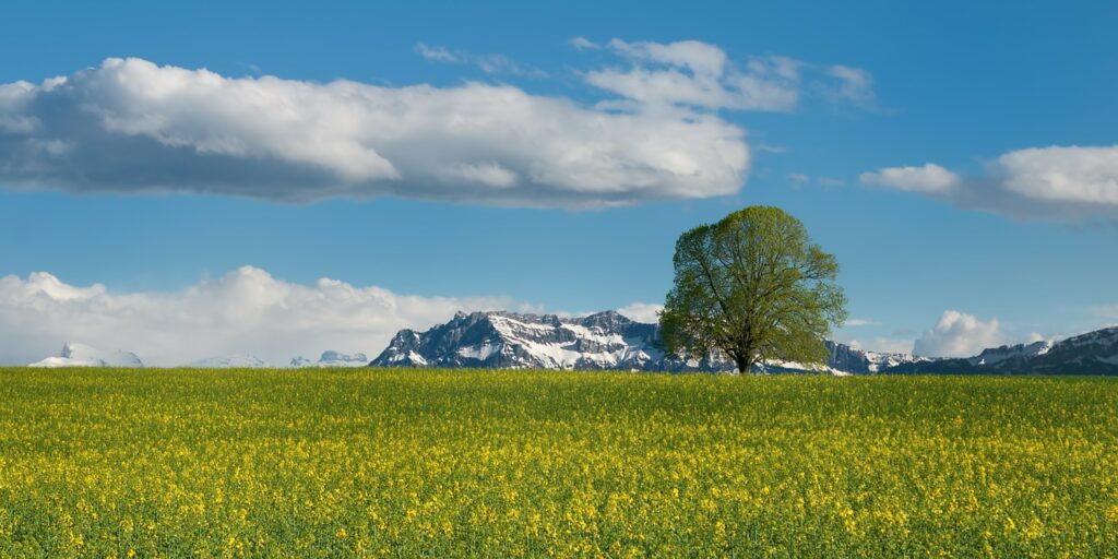 Deutsche Alpenstraße. Wertach.